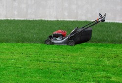 Lawn Mower